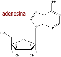a adenosina  um neurotransmissor