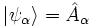 |\psi_{\alpha}\rangle =\hat{A}_{\alpha}
