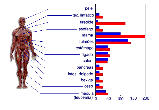 figura7.gif