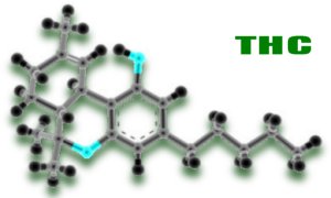 o THC tem estrutura qumica semelhante a de um terpeno