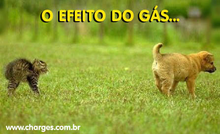 Descrição: Na Mira da Arma Química