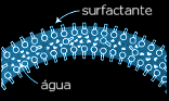 um filme de surfactantes