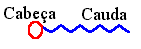 surfactante